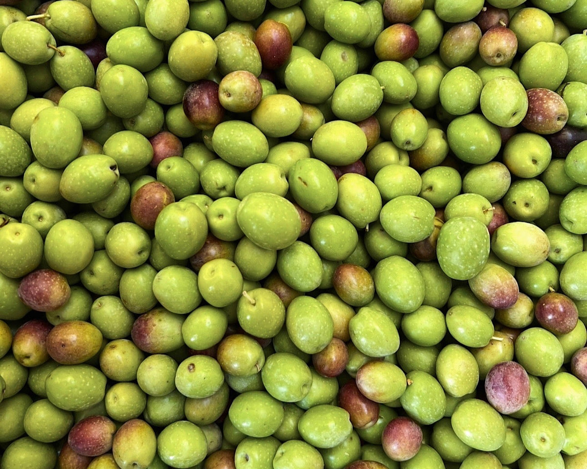 Olives LA Extra Virgin Olive Oil 2025: Limited First Harvest, cold